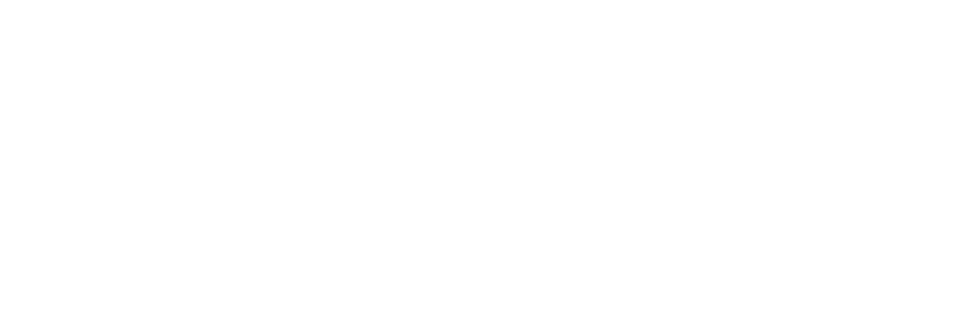 DLLM